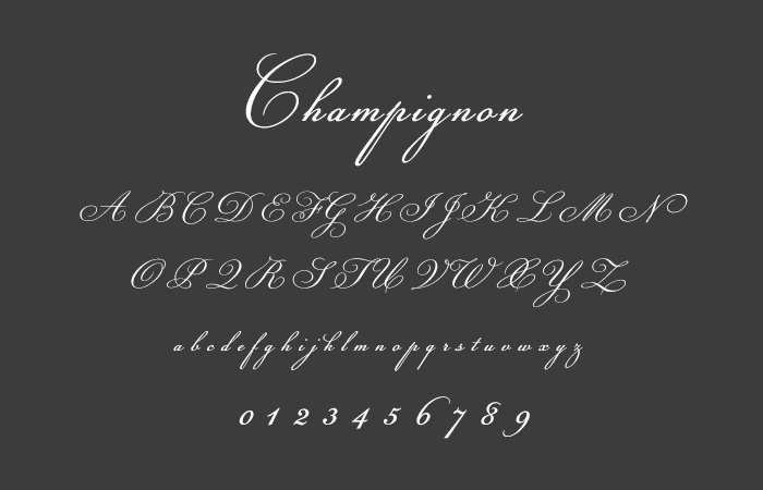 Champignon