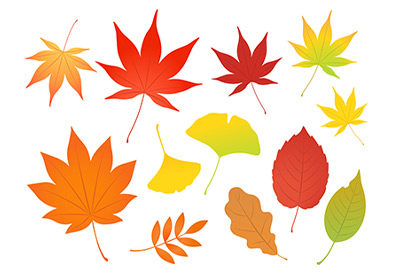 紅葉のイラスト画像